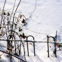 Ласковый снег ... :: Валерия  Полещикова 