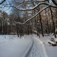 усадьба коньково. :: юрий макаров