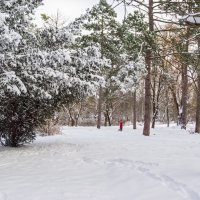 Зима :: Варвара 