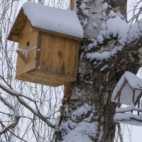 Свободно до весны :: Игорь Сикорский