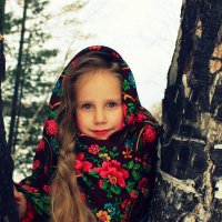 Маргаритушка-северная красавица! :: Александра Бояркина