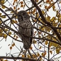 Случайный фото-выстрел в горах :: Kogint Анатолий