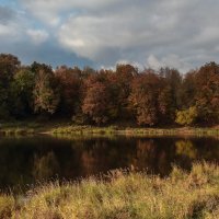 Осень на реке Луга. :: Любовь Анищенко