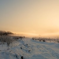 Солнечный туман. :: Анатолий Круглов