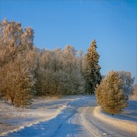 Зимняя дорога... :: Александр Никитинский
