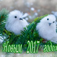 Новогодние открытки :: Вера Бережная 