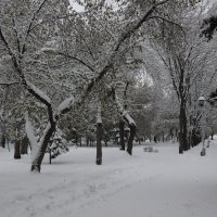 Новосибирск :: Олег Афанасьевич Сергеев