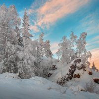 Зимняя зарисовка :: vladimir Bormotov