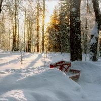 В зимнем парке... :: Александр Никитинский