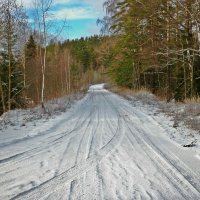 Зимняя дорога :: Натали Пам