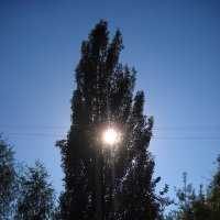 солнце :: Александр Попков