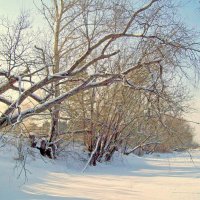 Зима на Иркуте :: alemigun 