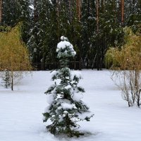 Снежный октябрь :: Милешкин Владимир Алексеевич 