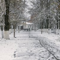 Зима началась в ноябре :: Игорь Сикорский