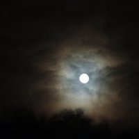 Лунная ночь :: Андрей Кротов
