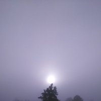 туман :: Ёжик в тумане 