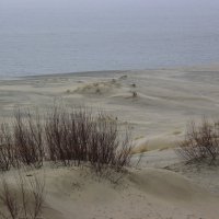 Песчаное море и Балтийское море :: Марина Домосилецкая