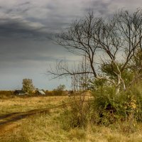 Осень :: Виктор 