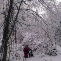 в лесу :: Светлана 