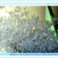 Волшебной кисточкой мороз рисует на стекле узоры... :: super-krokus.tur ( Наталья )