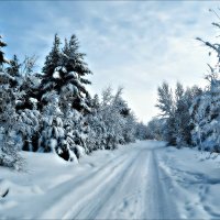 Зимняя дорога :: Leonid Rutov