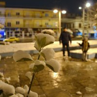 В Афинах снег!  - Сказка с России пришла! :: Оля Богданович