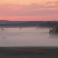 Туман :: Елена Малкова