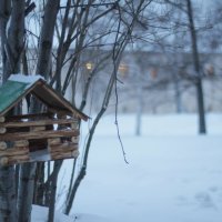 На территории монастыря :: Ольга Лапшина