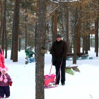 Зимой в парке :: Сергей Кухаренко