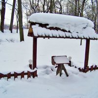 Снегопад прошёл :: Miko Baltiyskiy