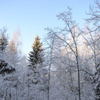 Со Старым Новым годом! :: Светлана 