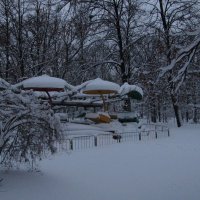 Зима в парке :: наталия 