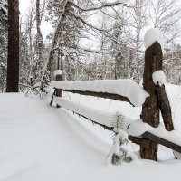 Зима... :: Влад Никишин
