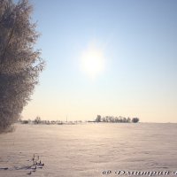 зимний день :: Дмитрий Денисов