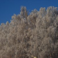 Зима :: Александр Попков