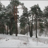 Зимний пейзаж. :: Роланд Дубровский