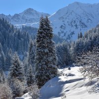 зима в горах :: Горный турист Иван Иванов
