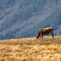 В.Баксан :: Вячеслав Ложкин