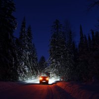 Дорога в зимнем лесу. :: Андрей Леднев