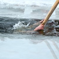 В прорубь с головой... :: Татьяна Евдокимова