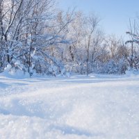Зима :: Павел Кореньков
