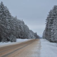 Дорога в сказку :: Светлана Ларионова