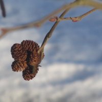 В парке :: Наталья 