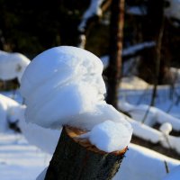 Бюст из снега. :: Виталий Бененко