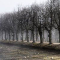 Петергофская диагональ.... :: Юрий Цыплятников