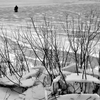 Одинокий рыбак :: Валерий Талашов