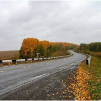 Осенняя дорога :: Валерий Воронцов 
