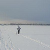 Прогулка по озеру :: Alla Swan