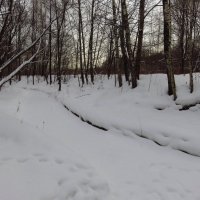Скромное обаяние московской зимы :: Андрей Лукьянов