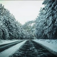 Зимняя дорога :: Анастасия Григорьева